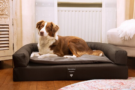 Hundebetten pflegeleicht